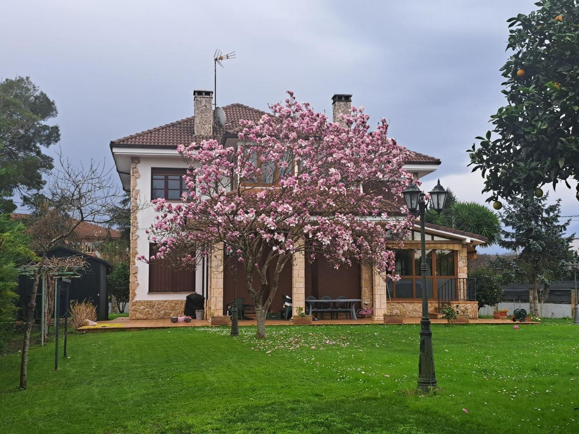 Casa Chalet, Villa Elisa Gijón Extérieur photo